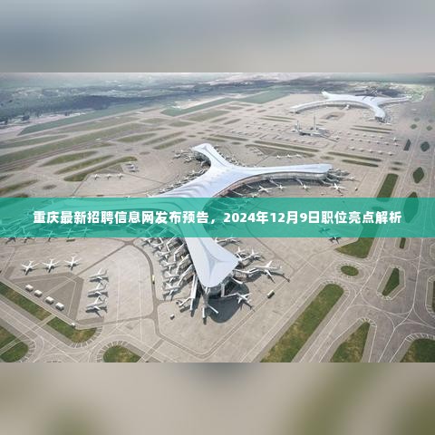 重庆最新招聘信息网预告,2024年职位亮点深度解析