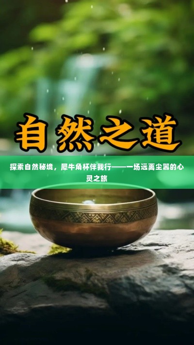 犀牛角杯伴我探索自然秘境的心灵之旅