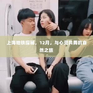 上海地铁探秘之旅,与心灵共舞的自然之旅(12月)