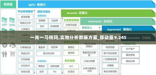 一肖一马特玛,实地分析数据方案_移动版9.245