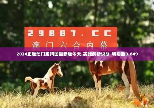 2024正版澳门跑狗图最新版今天,实践解析说明_特别版3.649