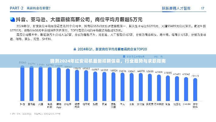 2024年红安司机最新招聘趋势及行业展望,求职指南