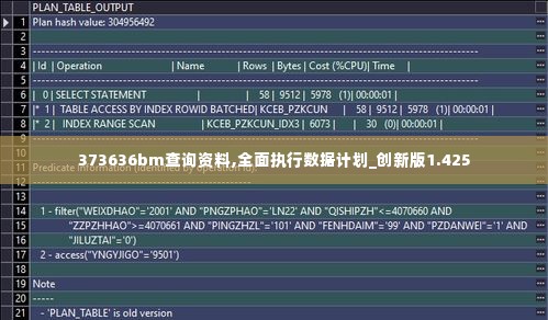 373636bm查询资料,全面执行数据计划_创新版1.425
