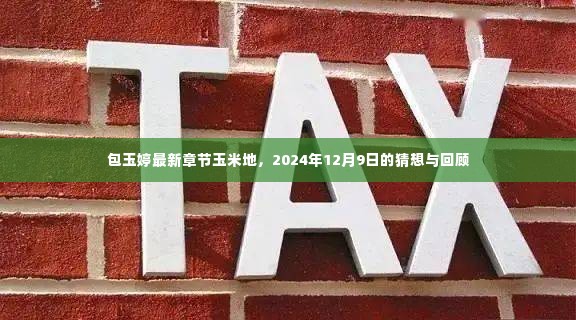 包玉婷最新章节,玉米地的猜想与回顾(2024年12月9日)