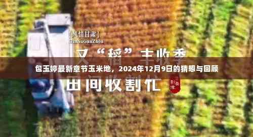 包玉婷最新章节,玉米地的猜想与回顾(2024年12月9日)