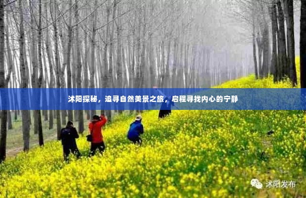 沭阳自然探秘之旅,追寻美景与内心宁静的启程