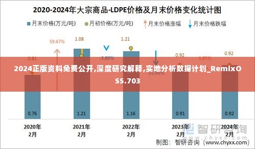 2024正版资料免费公开,深度研究解释,实地分析数据计划_RemixOS5.703