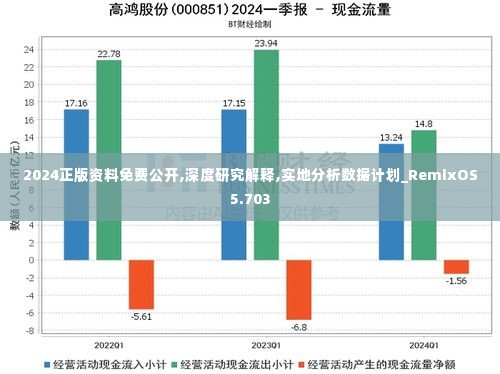 2024正版资料免费公开,深度研究解释,实地分析数据计划_RemixOS5.703
