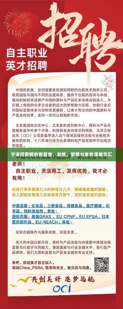 宁波招聘网新篇章,友情、梦想与家的交汇点