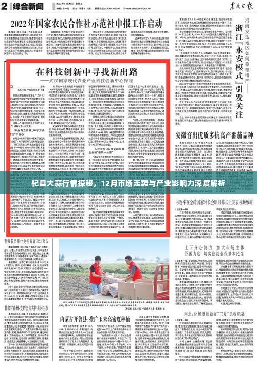 杞县大蒜市场深度解析,12月行情走势与产业影响力探究