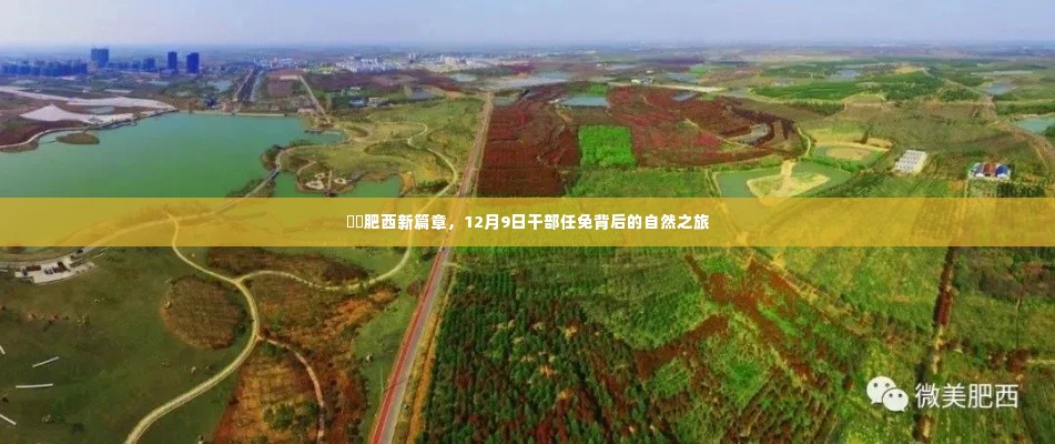 流光飞舞 第6页