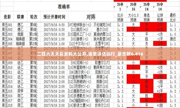 二四六天天彩资料大公开,连贯评估执行_豪华款6.416