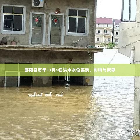 鄱阳县历年12月9日洪水水位实录,影响与反思