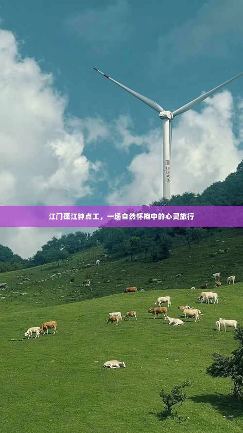 江门蓬江钟点工,自然怀抱中的心灵之旅