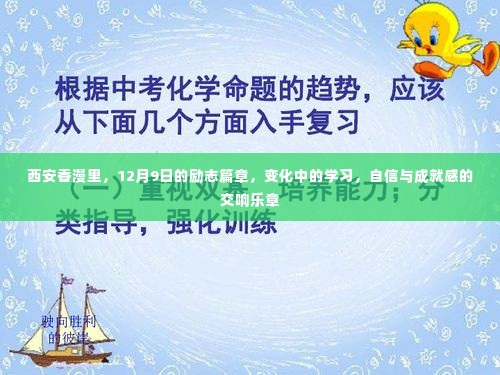 西安香漫里励志篇章,自信交响与成就感的蜕变学习之旅(12月9日)