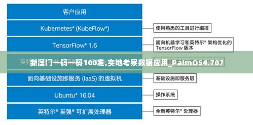 新澳门一码一码100准,实地考察数据应用_PalmOS4.707