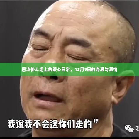 恩波格斗场暖心日常,12月9日的奇遇与温情瞬间