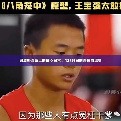 恩波格斗场暖心日常,12月9日的奇遇与温情瞬间