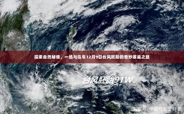 探索自然秘境,与往年台风胚胎的奇妙邂逅之旅