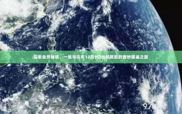 探索自然秘境,与往年台风胚胎的奇妙邂逅之旅