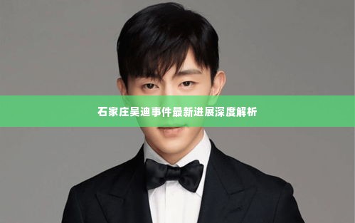 石家庄吴迪事件最新进展深度解析,揭秘事件内幕与最新动态