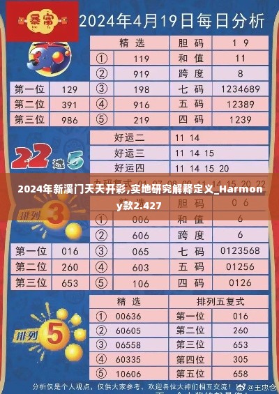 2024年新溪门天天开彩,实地研究解释定义_Harmony款2.427
