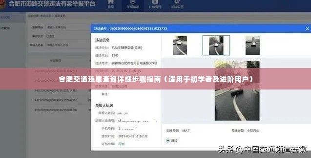 合肥交通违章查询步骤详解,初学者与进阶用户指南