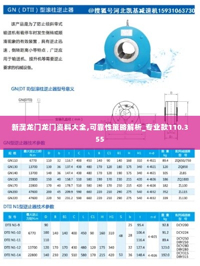 新澳龙门龙门资料大全,可靠性策略解析_专业款110.355