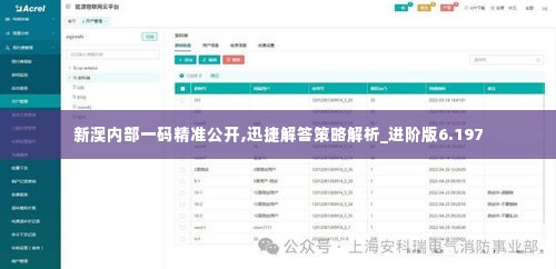 新澳内部一码精准公开,迅捷解答策略解析_进阶版6.197