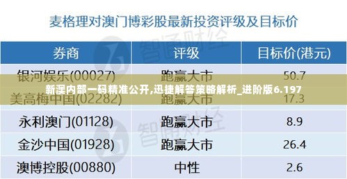 新澳内部一码精准公开,迅捷解答策略解析_进阶版6.197