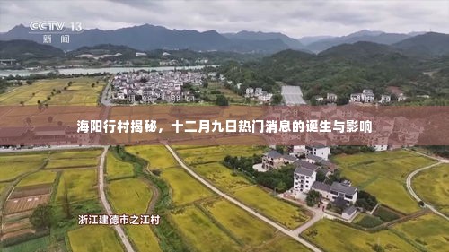 海阳行村揭秘,十二月九日热门消息的诞生及其影响