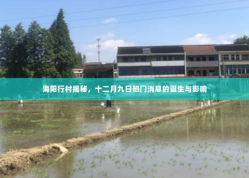 粗衣淡饭 第4页