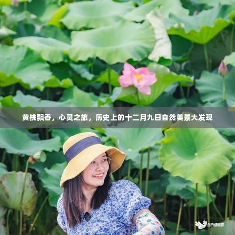 黄桃飘香的心灵之旅,历史上的十二月九日自然美景探寻