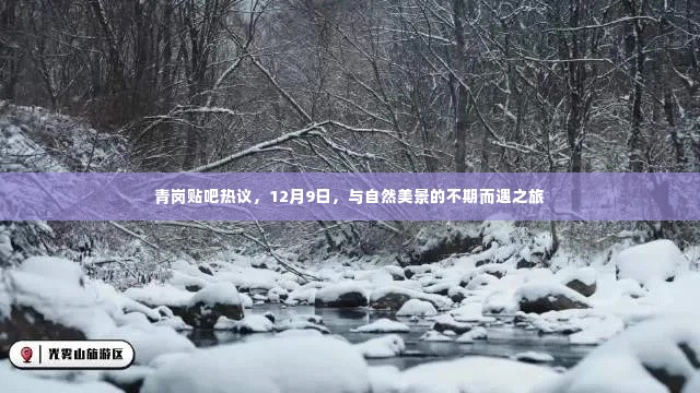 青岗贴吧热议,与自然美景的不期而遇之旅(12月9日)