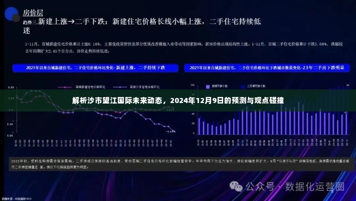 沙市望江国际未来动态解析及2024年预测展望,观点碰撞与深度剖析