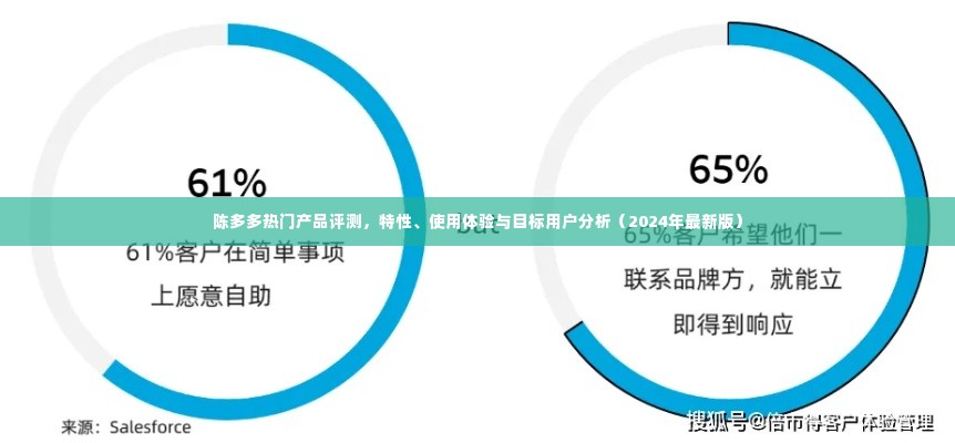 陈多多热门产品评测,特性、使用体验与目标用户深度剖析(2024最新版)