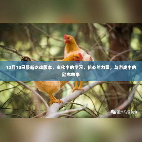 吃鸡游戏的新篇章,学习变化、信心力量与励志故事