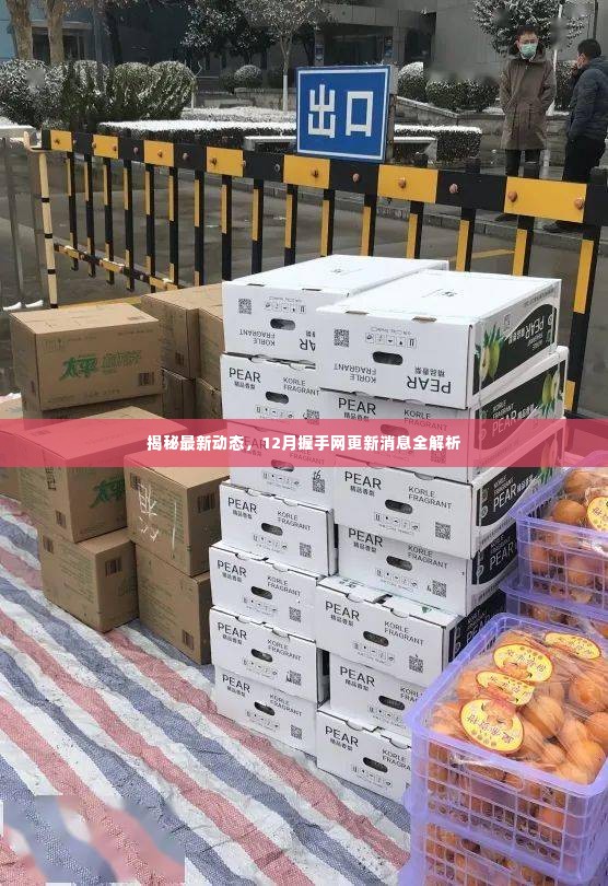 揭秘最新动态,12月握手网更新消息全面解析