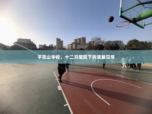 平顶山学校,十二月暖阳映照下的温馨校园日常