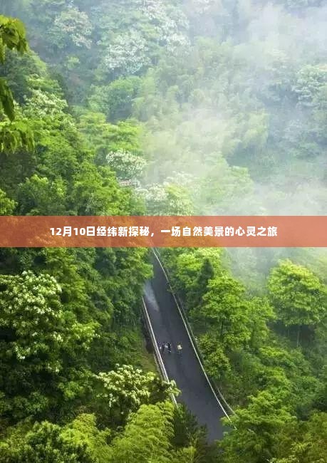 经纬新探秘,自然美景的心灵之旅(12月10日)