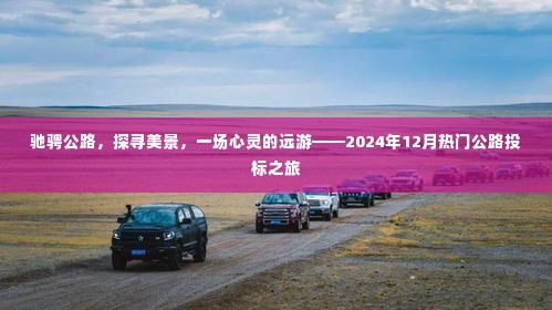 驰骋公路探寻美景,心灵远游之旅——热门公路投标之旅(2024年12月)