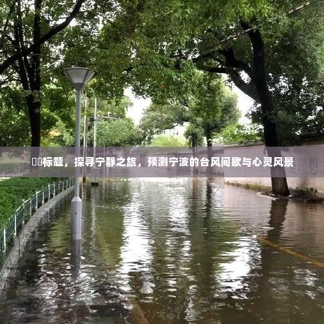 探寻宁静之旅,宁波台风间歇的心灵风景预测
