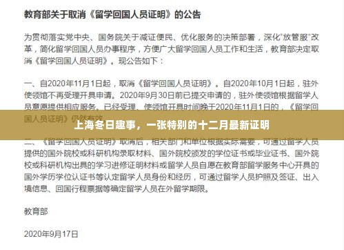 上海冬日趣事,十二月的独特印记