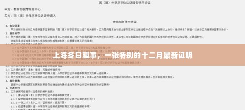 上海冬日趣事,十二月的独特印记