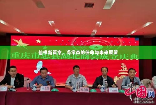 仙桃新篇章,冯常杰的任命及未来展望