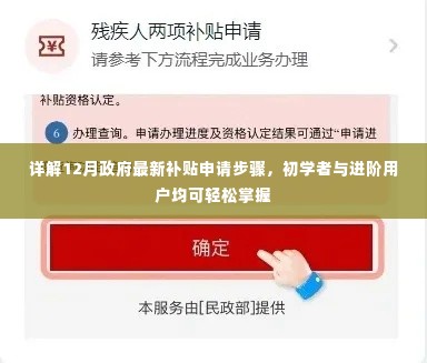 详解,政府最新补贴申请步骤,适合初学者与进阶用户指南