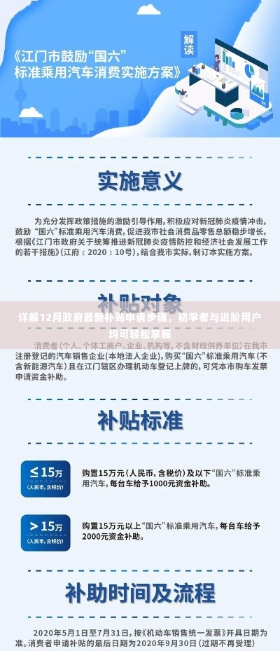 详解,政府最新补贴申请步骤,适合初学者与进阶用户指南