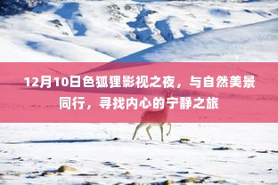 色狐狸影视之夜,与自然美景同行,探寻内心宁静之旅