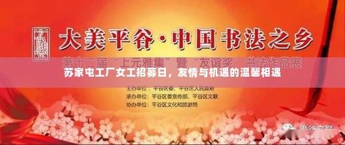 苏家屯工厂女工招募日,友情与机遇的交汇盛会