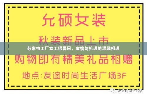 苏家屯工厂女工招募日,友情与机遇的交汇盛会